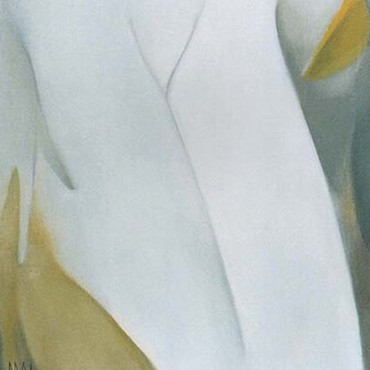 White Morning